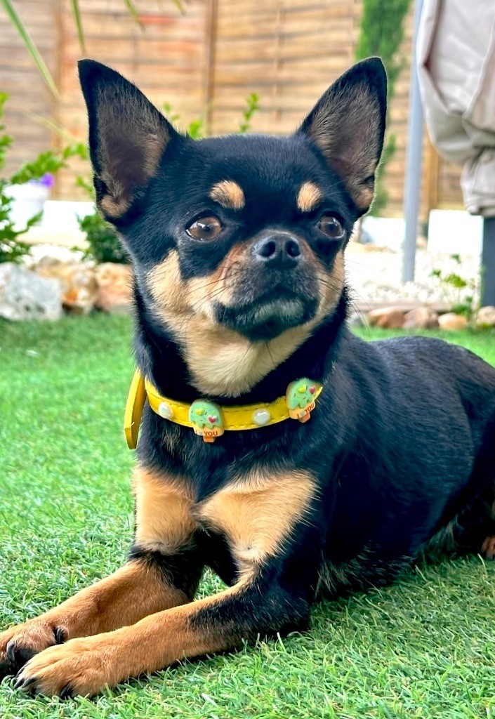 U drive me crazy Des Perles Du Soleil