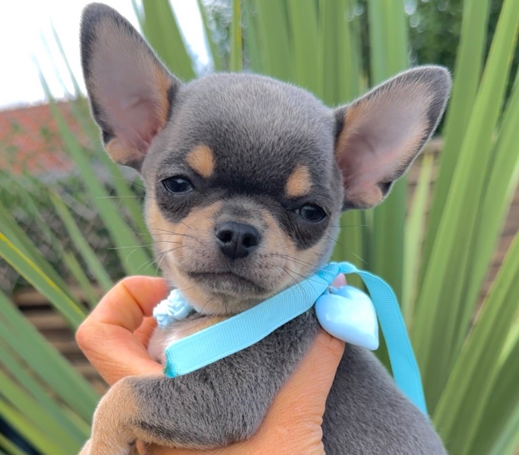 Dernier bébé disponible ! 